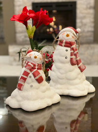 Charming SMALL Melting Snowman