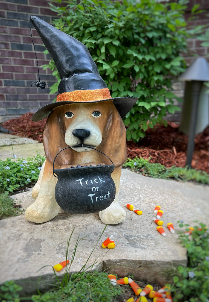 Trick-Or-Treat Dog