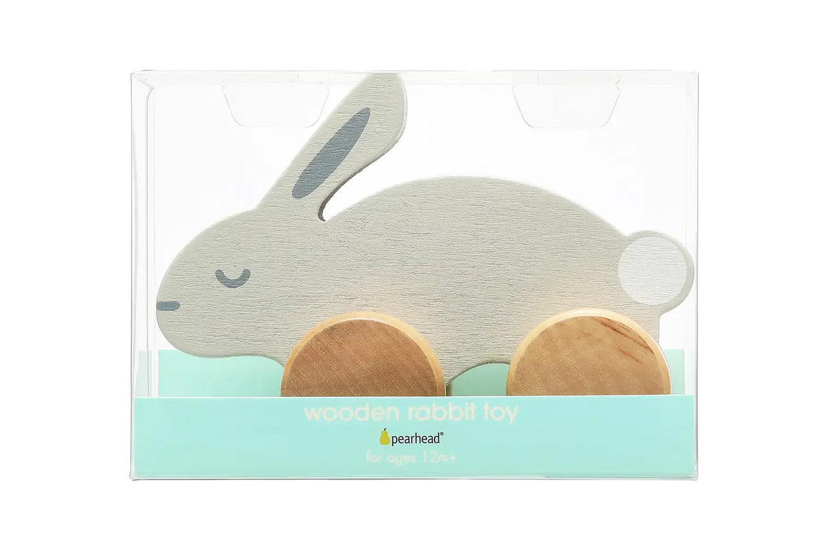 Wooden Bunny Push Toy