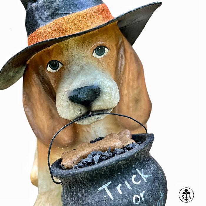Trick-Or-Treat Dog