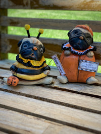 Bee-Ware Pup