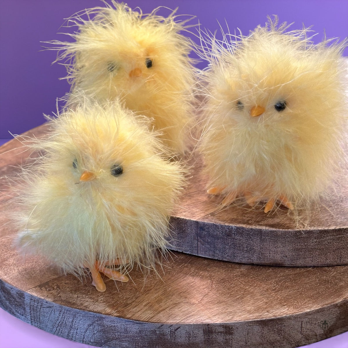 Fuzzy Chicks S/3 Easter Home Décor