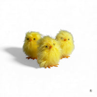 Fuzzy Chicks S/3 Easter Home Décor