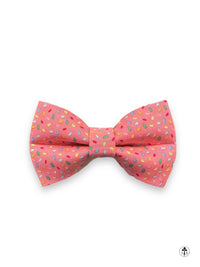Pet Collar Bow Ties