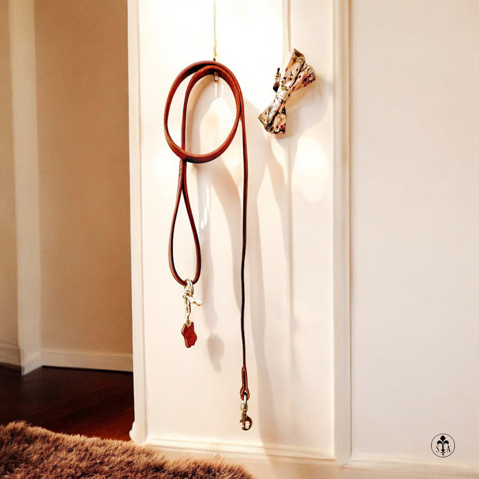 Dog Leash
